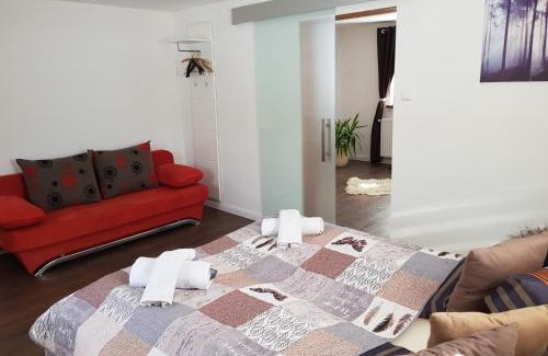 Mitterberg Apartamento | Alexandra Appartement
