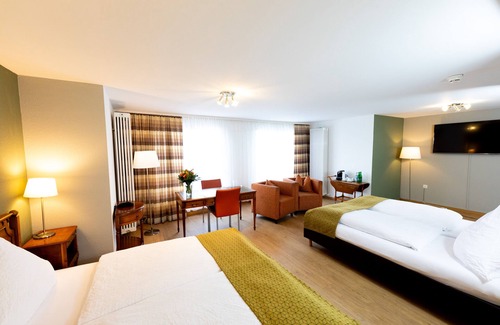Birsfelden Hotel | Alfa Hotel