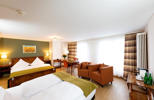 Birsfelden Hotel | Alfa Hotel