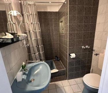 Fechenheim Hotel | Alfa Hotel Frankfurt