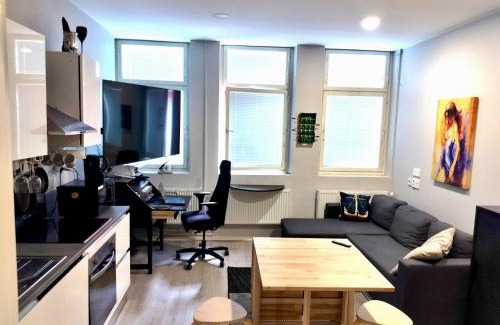 Kokkola Apartamento | Alfred Sviitti