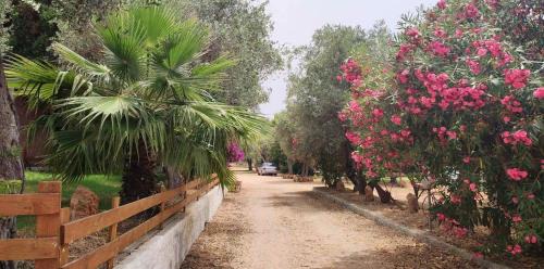 Alghero Apartamento | Alghero Guest House - Appartamenti in Seminterrato in Villetta di Campagna, Piscina fuori terra a 4 minuti di auto dalla città