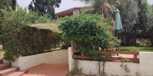 Alghero Apartamento | Alghero Guest House - Appartamenti in Seminterrato in Villetta di Campagna, Piscina fuori terra a 4 minuti di auto dalla città