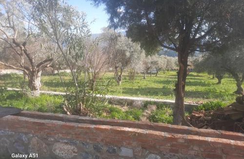 Selcuk Otro | Ali dede kamp karavan bungalow