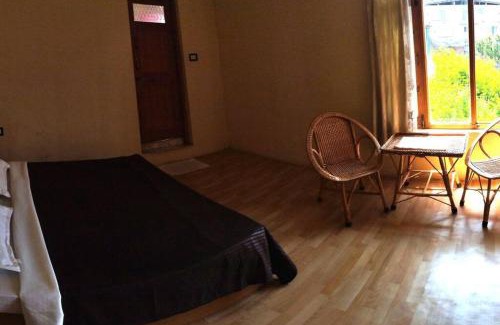 Brein Casa | Alifland