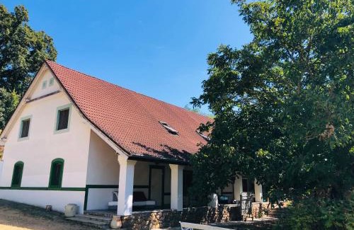Salfold Casa | Aligvár Vendégház