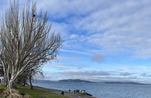 Alki Condominio | Alki Beach View Villa