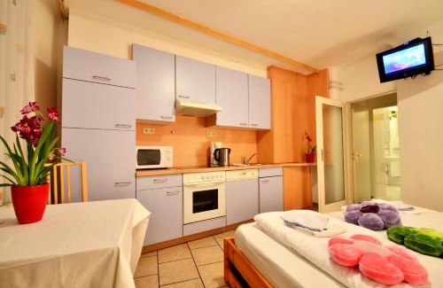 Floridsdorf Apartamento | All-in longterm Cozy Studio - free Parkingcard for 21 District