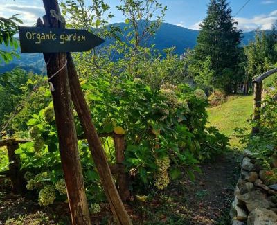 Pescia Apartamento | All ' ombra del lauro