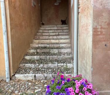 Angarano Casa | Alla vigna
