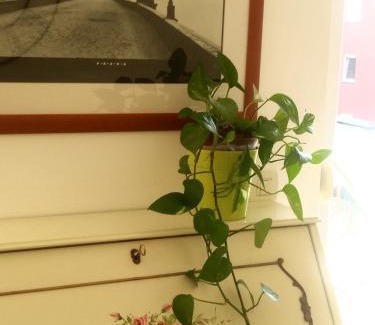 Zambratija Apartamento | Allegria