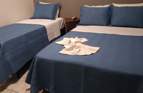 Bauru Hotel | ALLIANCE HOTEL