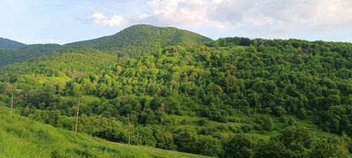 Vallfogona Casa | Allotjaments rurals Can Punti