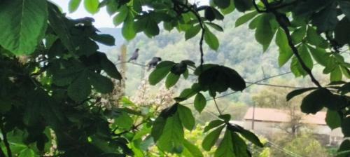 Vallfogona Casa | Allotjaments rurals Can Punti