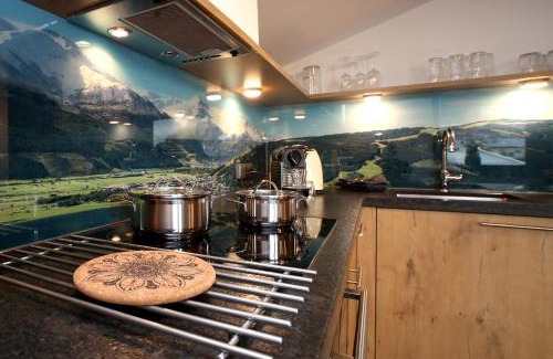 Schuttdorf Apartamento | Alm Appartements ZellamSee