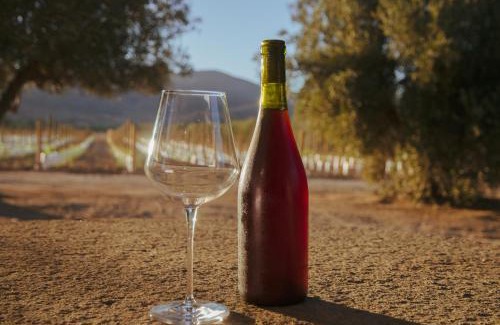 Valle de Guadalupe Chalet De Esquí | Alma Liebre Viñedos del Valle