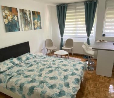 Kragujevac Apartamento | Alman apartman