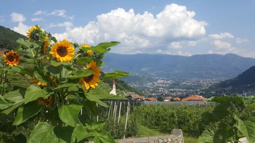 Lagundo Apartamento | Almbergerhof