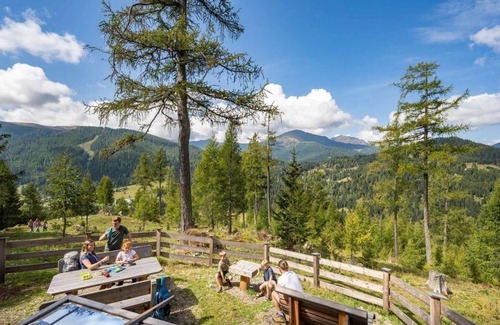 Metnitz Casa | Almhaus Völkl - Ferienwohnung Elisabeth