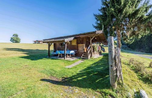 Hollersbach im Pinzgau Chalet De Esquí | Almliesl HOLL-361
