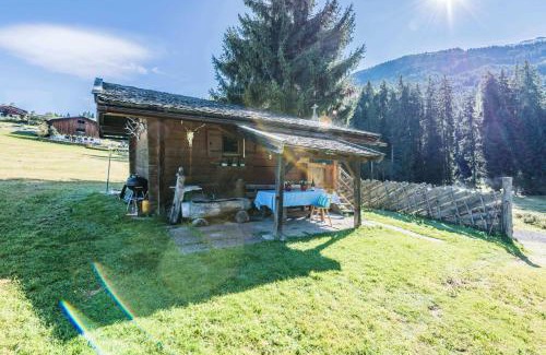Hollersbach im Pinzgau Chalet De Esquí | Almliesl HOLL-361
