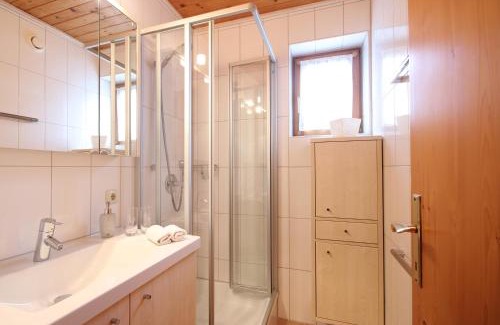 Viehhofen Apartamento | Almliesl VIEH-715