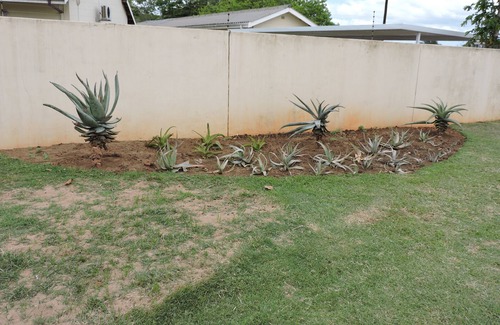 Kwambonambi Casa | ALOE HOUSE