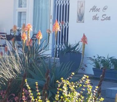 Linkside Apartamento | Aloe @ the Sea