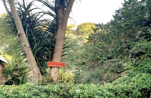 Ethekwini Apartamento | AloeViewCottage - Private Quiet & so Tranquil