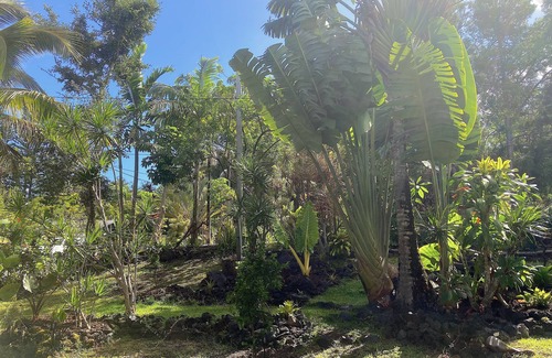 Kehena Apartamento | Aloha Bungalow, Garden Level 1 Bedroom, walking distance to Kehena Beach.