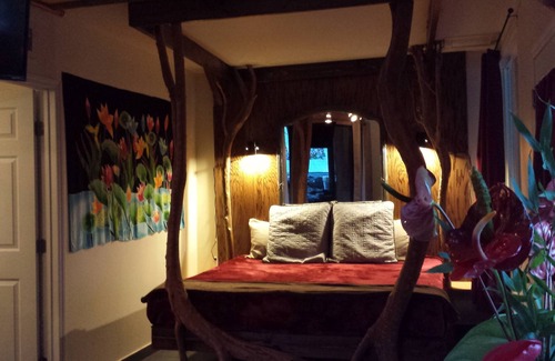 Volcano Casa | Aloha Crater Lodge and Lava Tube