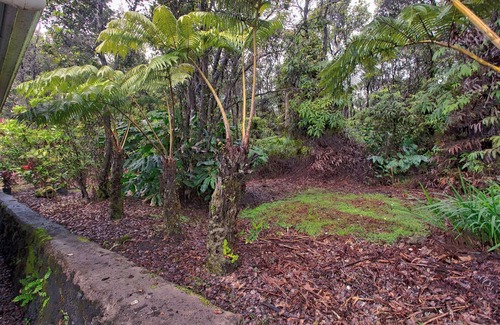 Ohia Estates Casa | Aloha Ohia Hale 1 Bedroom Home by RedAwning