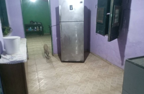 Luis Correia Casa | Aloha phb Hostel -hospedagem em Conta pra Você Próxima à da Praia de Atalaia