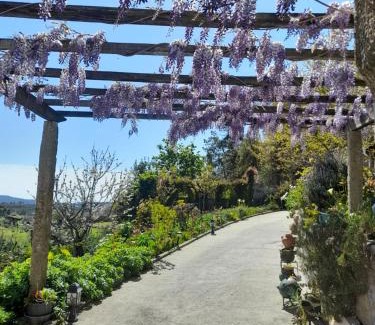Oliveira de Frades Casa | Alojamento São Lourenço