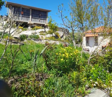 Oliveira de Frades Casa | Alojamento São Lourenço