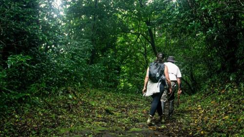 Pacuare Reserve Cama Y Desayuno | Alojamiento OYE