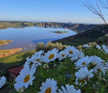 Almodovar del Río Casa | Alojamiento Rural Mi Frasca