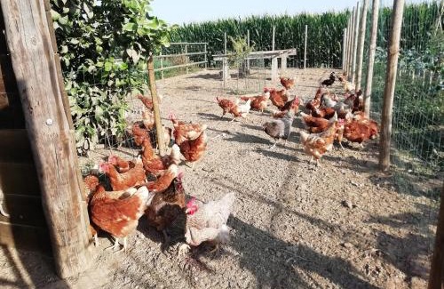 Fonalleras Casa | Alojamiento Rural Mas Pareta