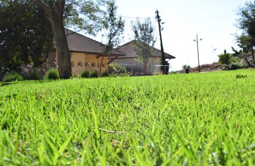 Katzrin Cabina | Aloney Habashan Guest village