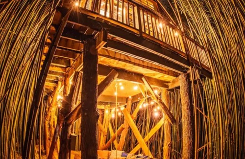 Atlanta Cabaña | Alpaca Treehouse in the Bamboo Forest