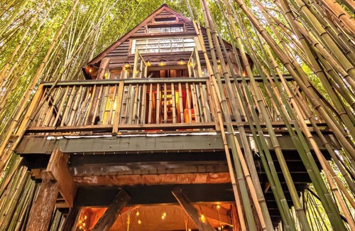 Atlanta Cabaña | Alpaca Treehouse in the Bamboo Forest