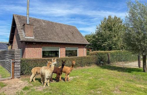 Vorstenbosch Casa | Alpacafarm Vorstenbosch