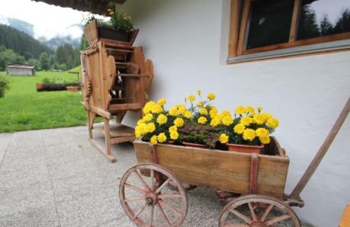 Wildschoenau Apartamento | Alpboden