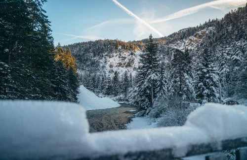 Scharnitz Apartamento | Alpe Chalets Goldener Hirsch
