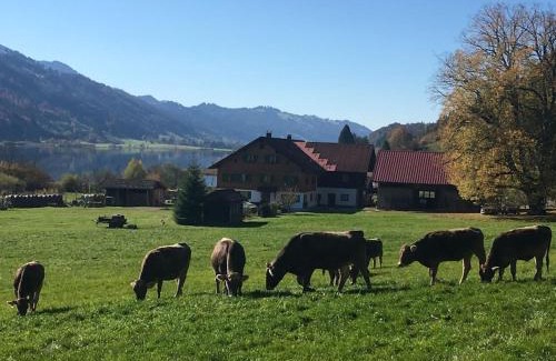 Balderschwang Casa | Alpenblick cable car incl