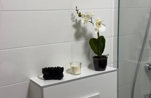 Strobl Apartamento | Alpenoase