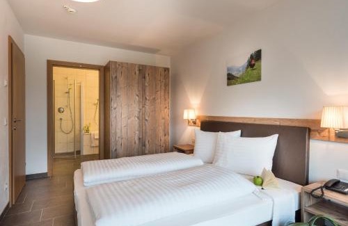 Zell am See Apartamento | AlpenParks Hotel & Apartment Central Zell am See
