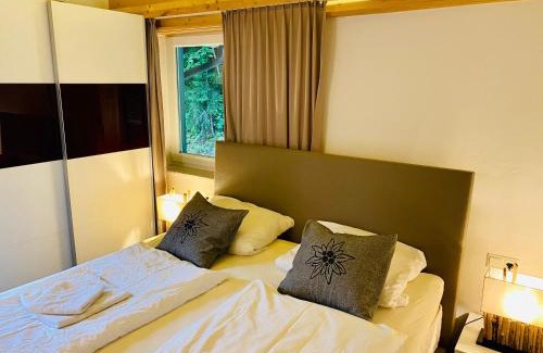 Scheffau am Wilden Kaiser Apartamento | Alpensuite TOP 6 am Wilden Kaiser
