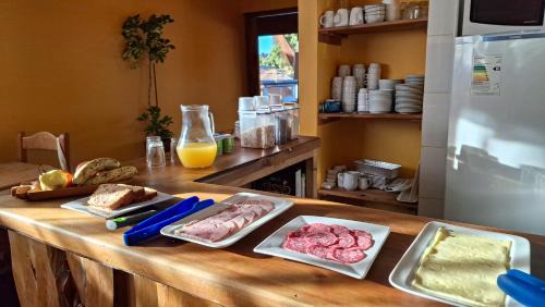 Pucon Hotel | Alpes Hotel