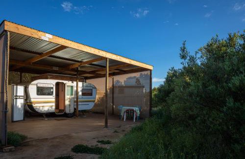Clanwilliam Otro | Alpha Excelsior Donkey camp